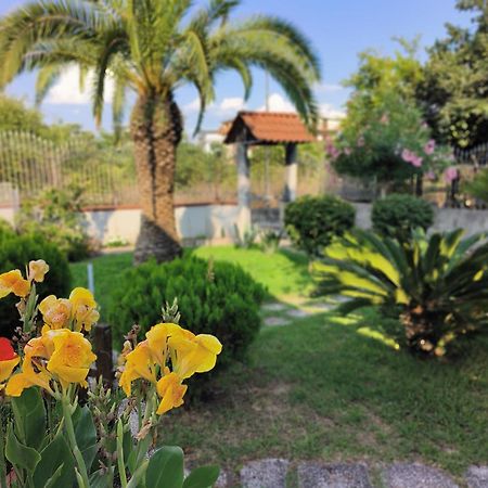 I Giardini Di Plinio - Elegante E Luminoso. Daire Boscoreale Dış mekan fotoğraf
