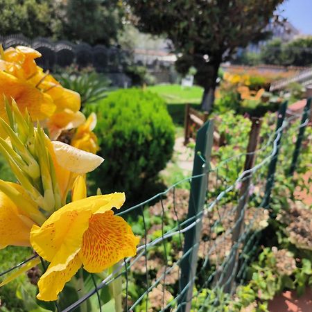 I Giardini Di Plinio - Elegante E Luminoso. Daire Boscoreale Dış mekan fotoğraf