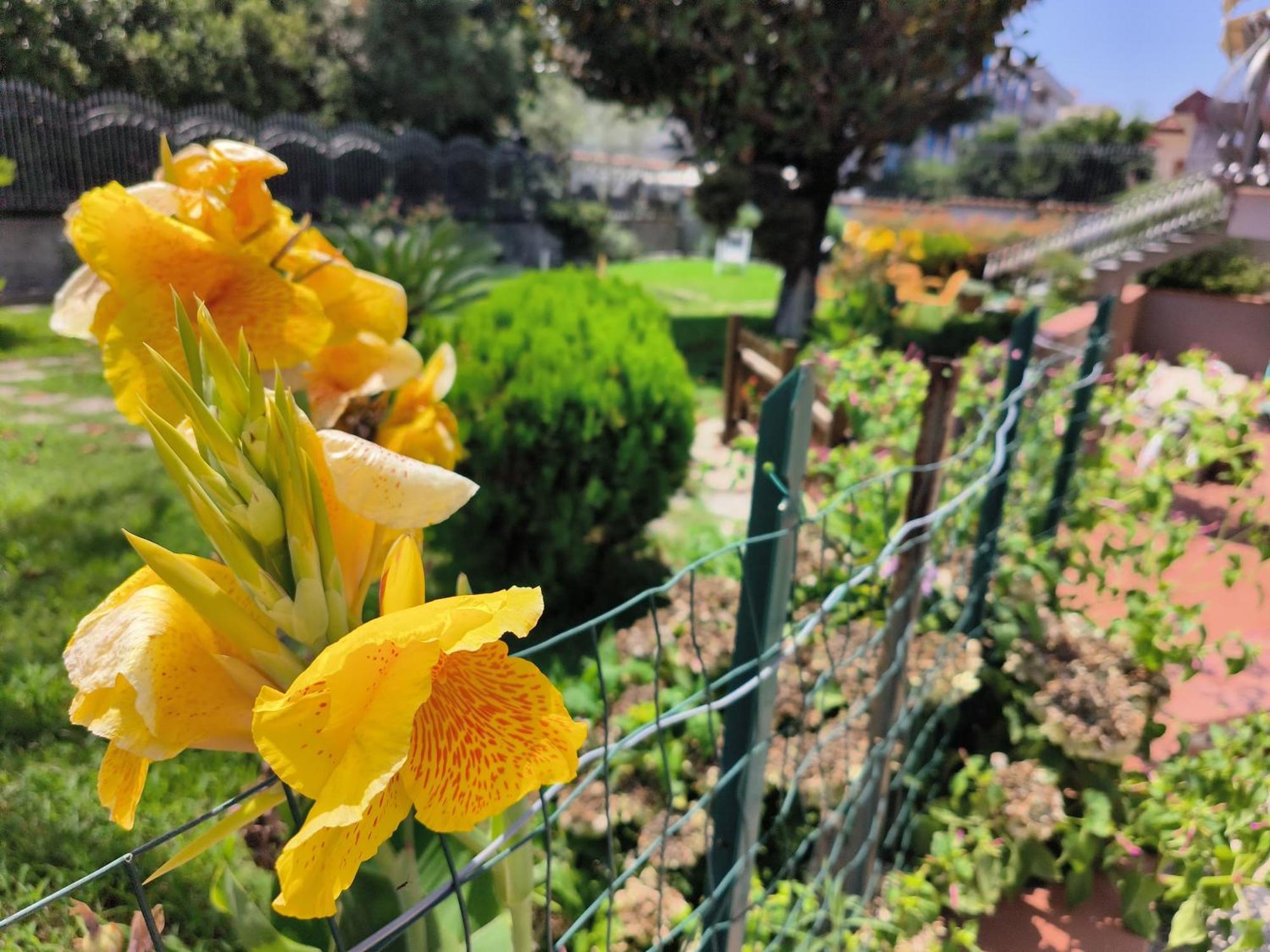 I Giardini Di Plinio - Elegante E Luminoso. Daire Boscoreale Dış mekan fotoğraf