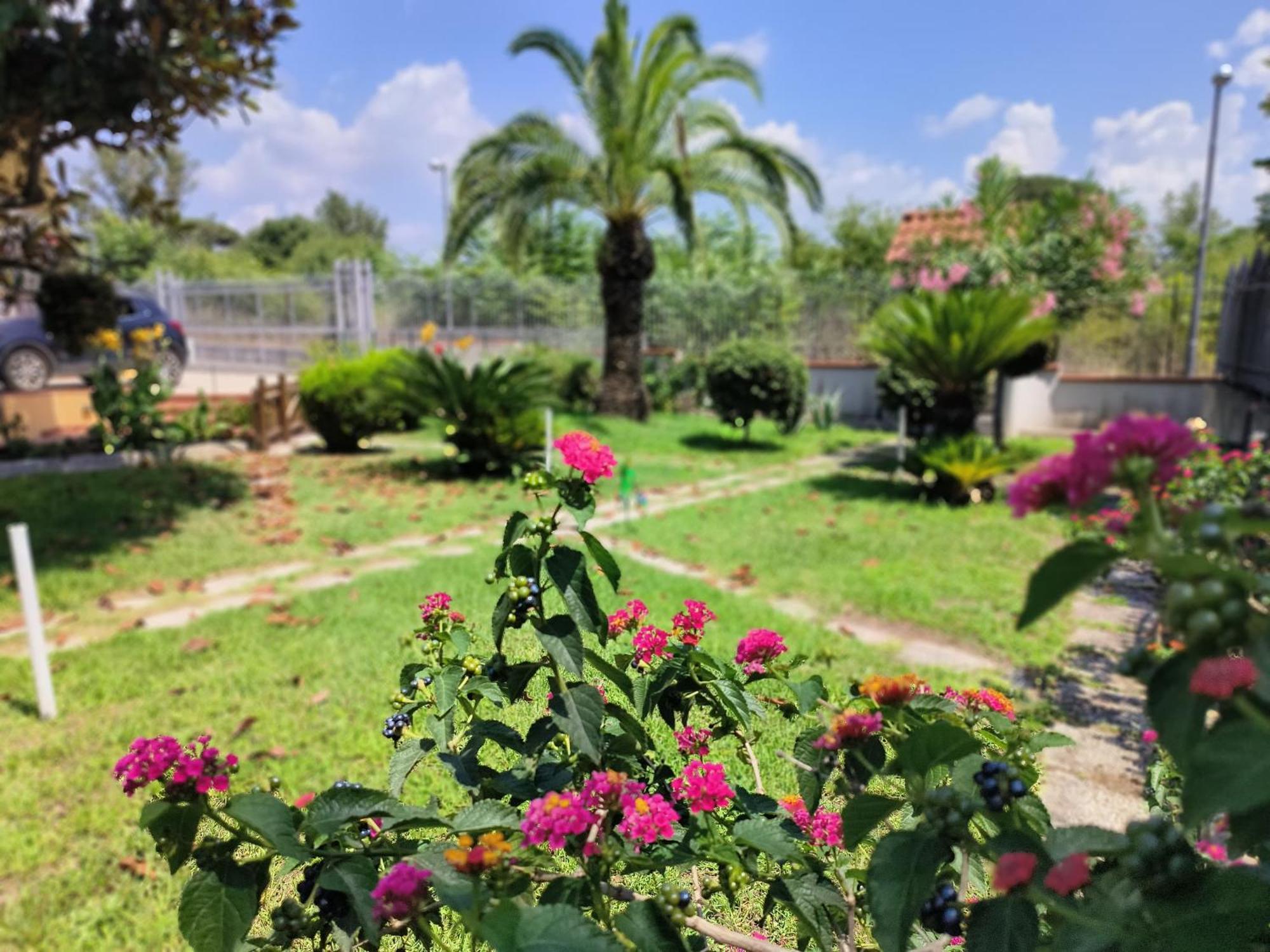 I Giardini Di Plinio - Elegante E Luminoso. Daire Boscoreale Dış mekan fotoğraf